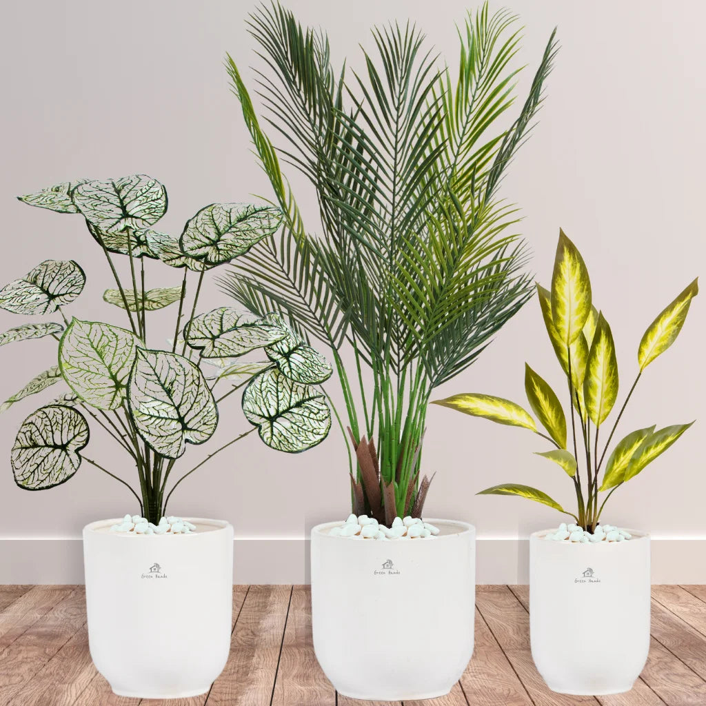 Artificial-Areca-Palm-White-Taro-Aglaonema-Bundle-White-Ceramic-Pots