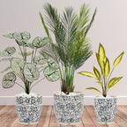Artificial-Areca-Palm-White-Taro-Aglaonema-Plants-Bundle-Premium-Imari-Blue-Floral-Ceramic-Pots