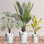 Artificial Areca Palm Bundle 135 cm | Premium Ceramic Pots Inclusive