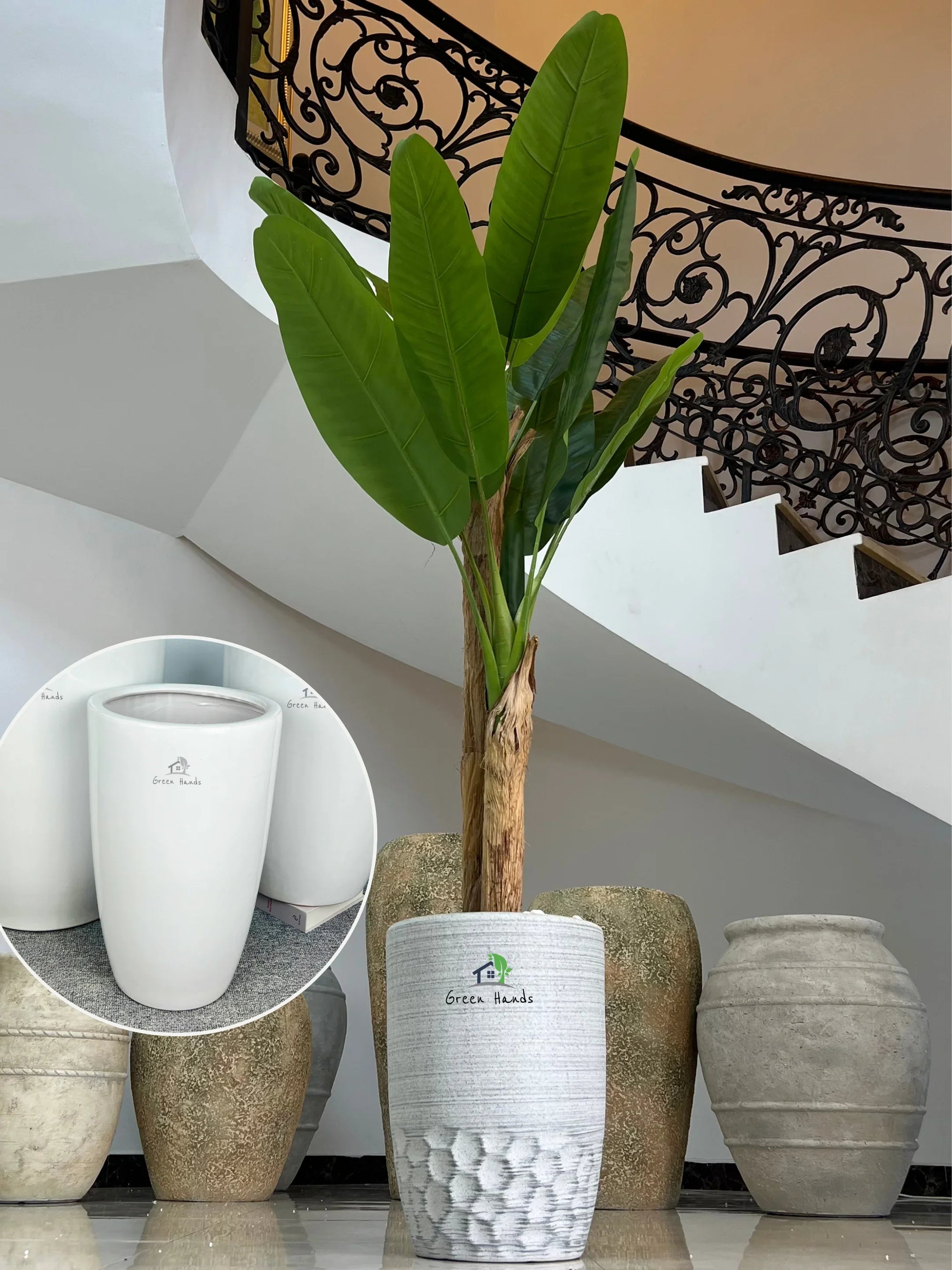 Artificial-Banana-Tree-190-cm-in-White-Ceramic-Pot