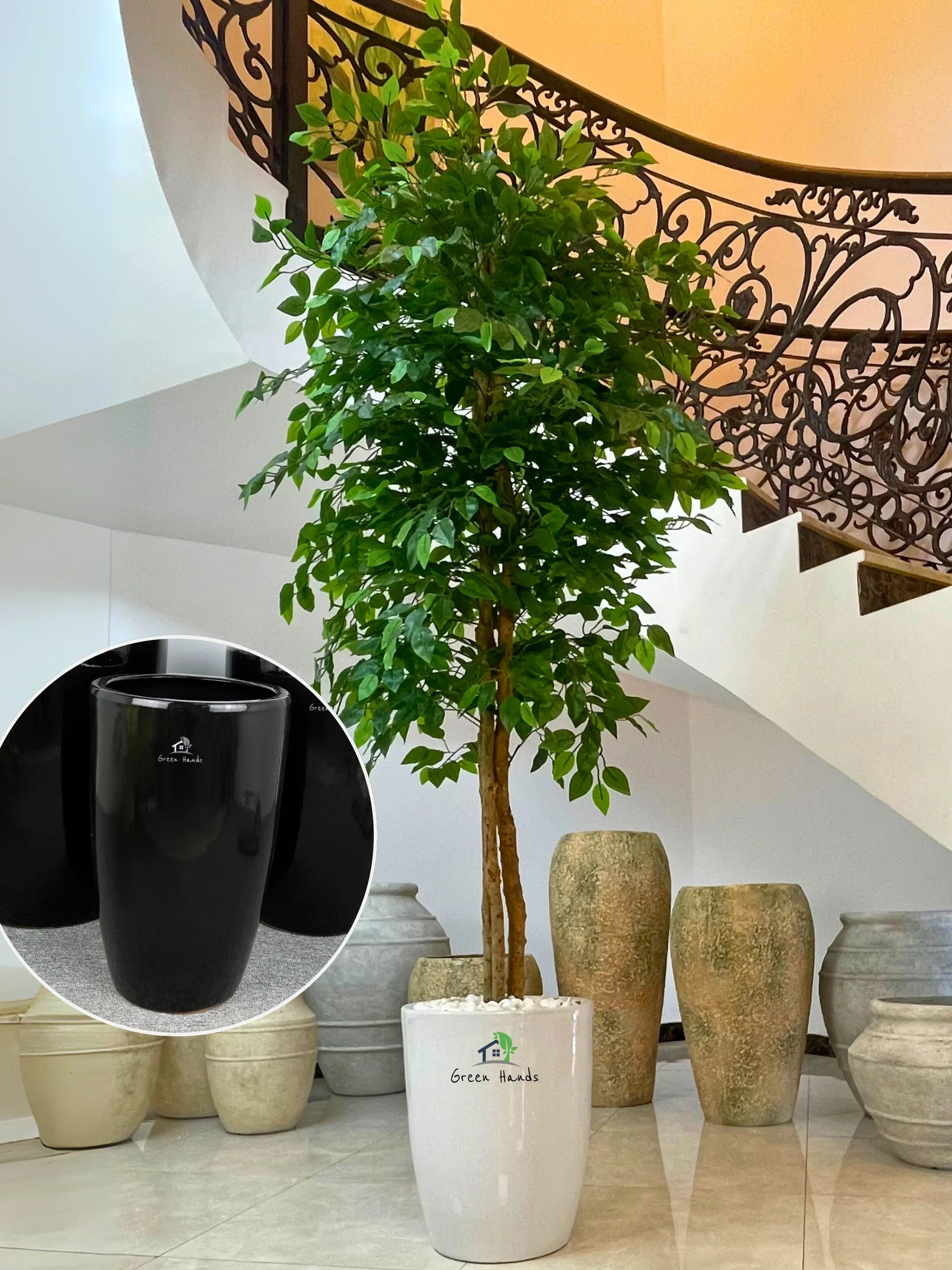 Artificial-Ficus-220-cm-in-Black-Ceramic-Pot