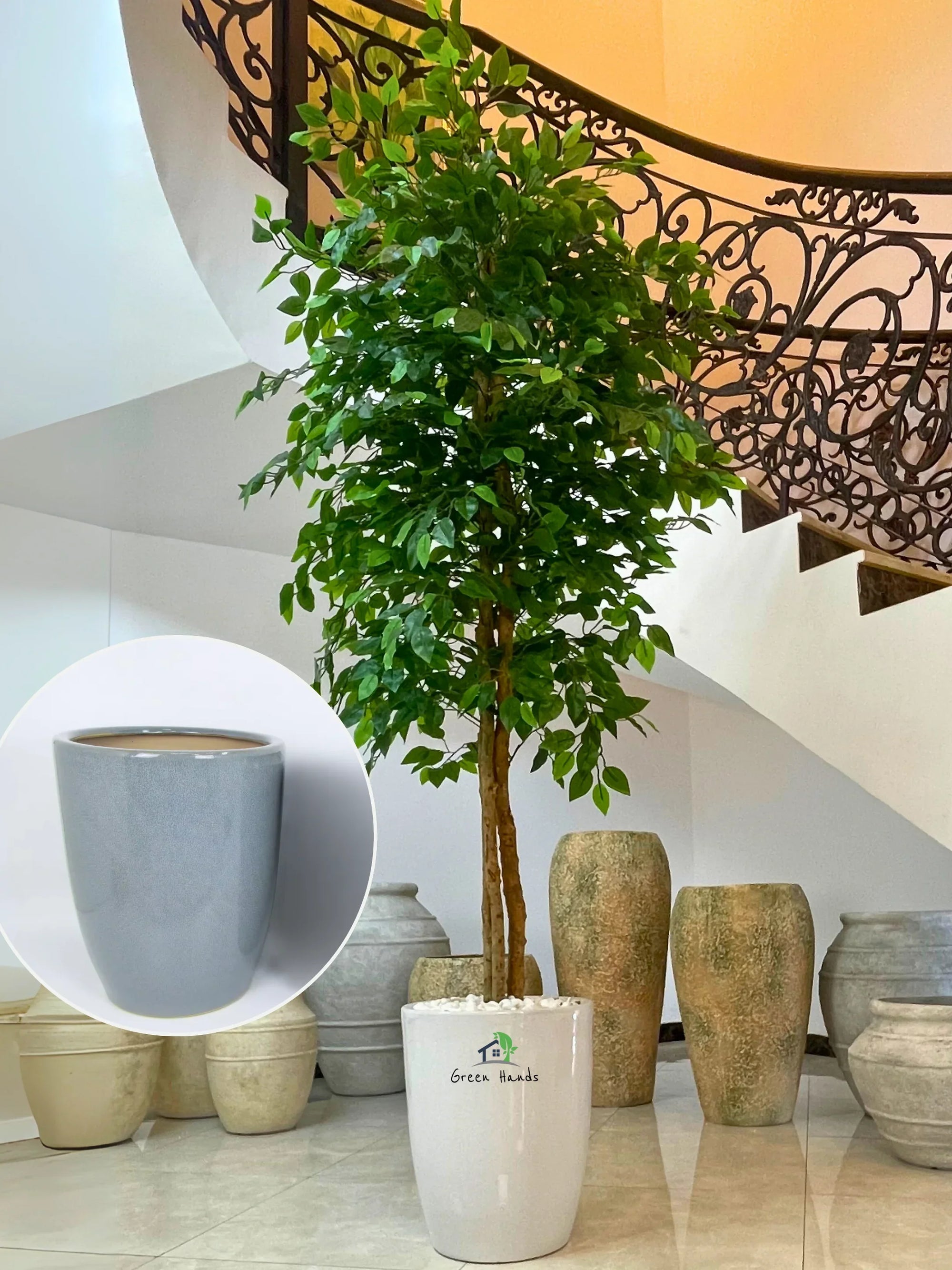 Artificial-Ficus-220-cm-in-Grey-Ceramic-Pot