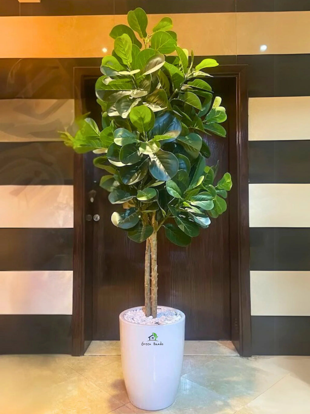 Artificial-Fiddle-Tree-220cm-in-White-Ceramic-Pot