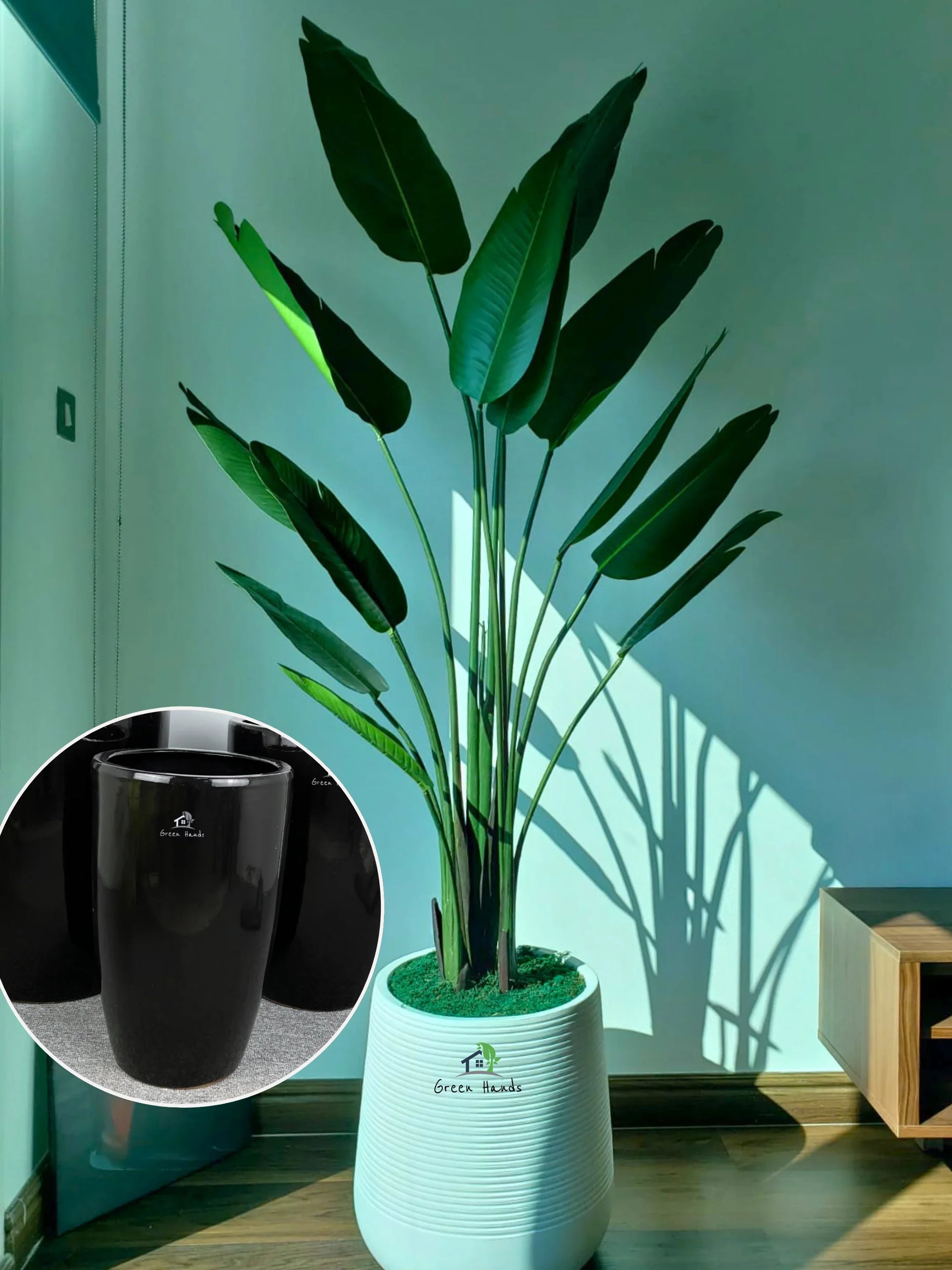 Artificial-Strelitzia-or-Bird-of-Paradise-210-cm-in-Premium-Black-Ceramic-Pot