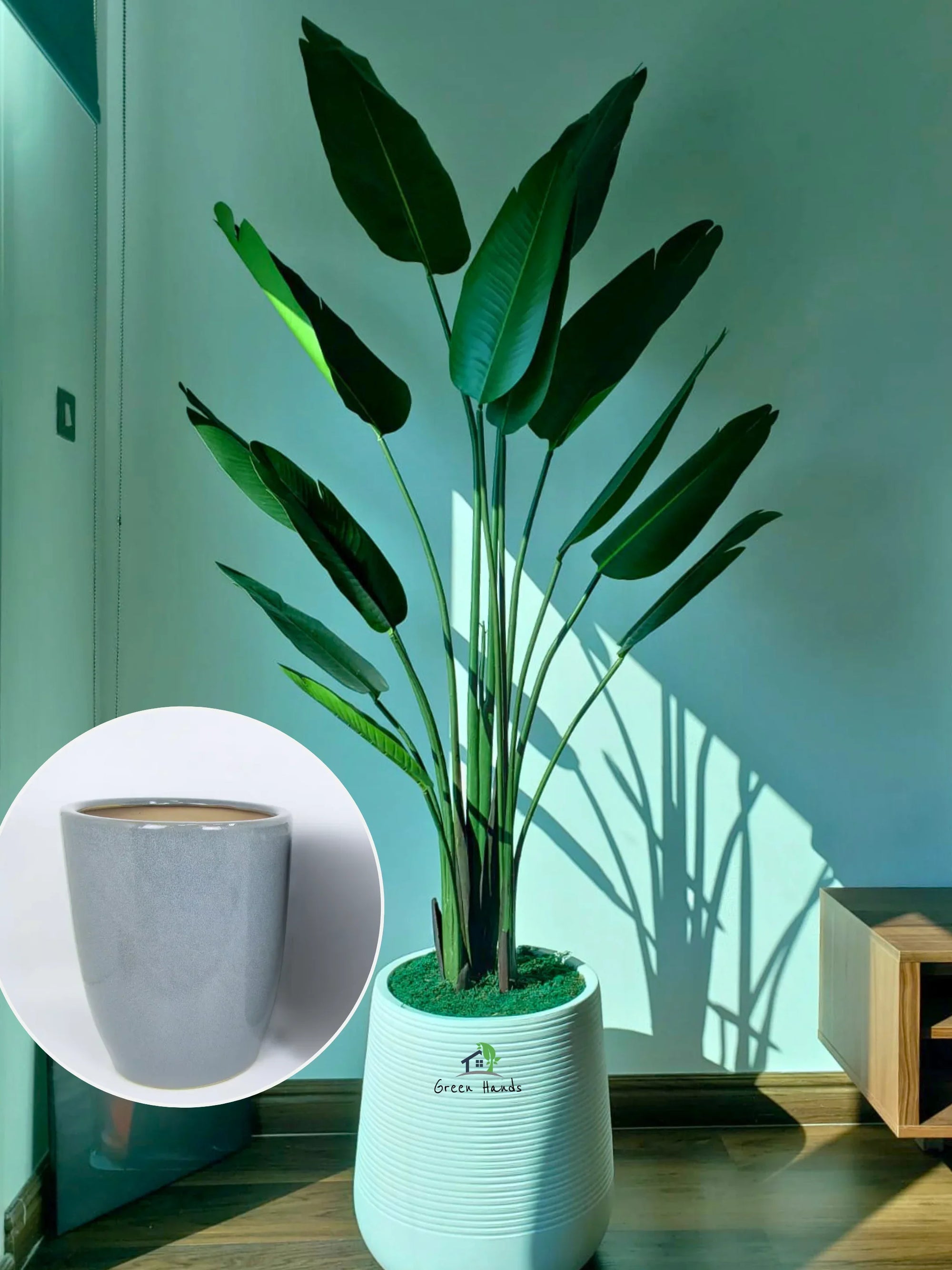 Artificial-Strelitzia-or-Bird-of-Paradise-210-cm-in-Premium-Grey-Ceramic-Pot