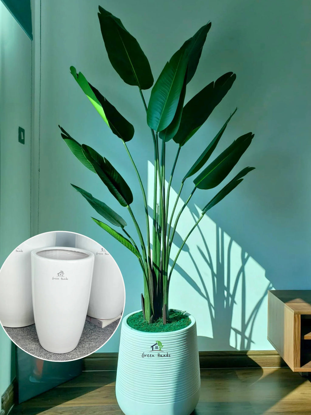 Artificial-Strelitzia-or-Bird-of-Paradise-210-cm-in-Premium-White-Ceramic-Pot