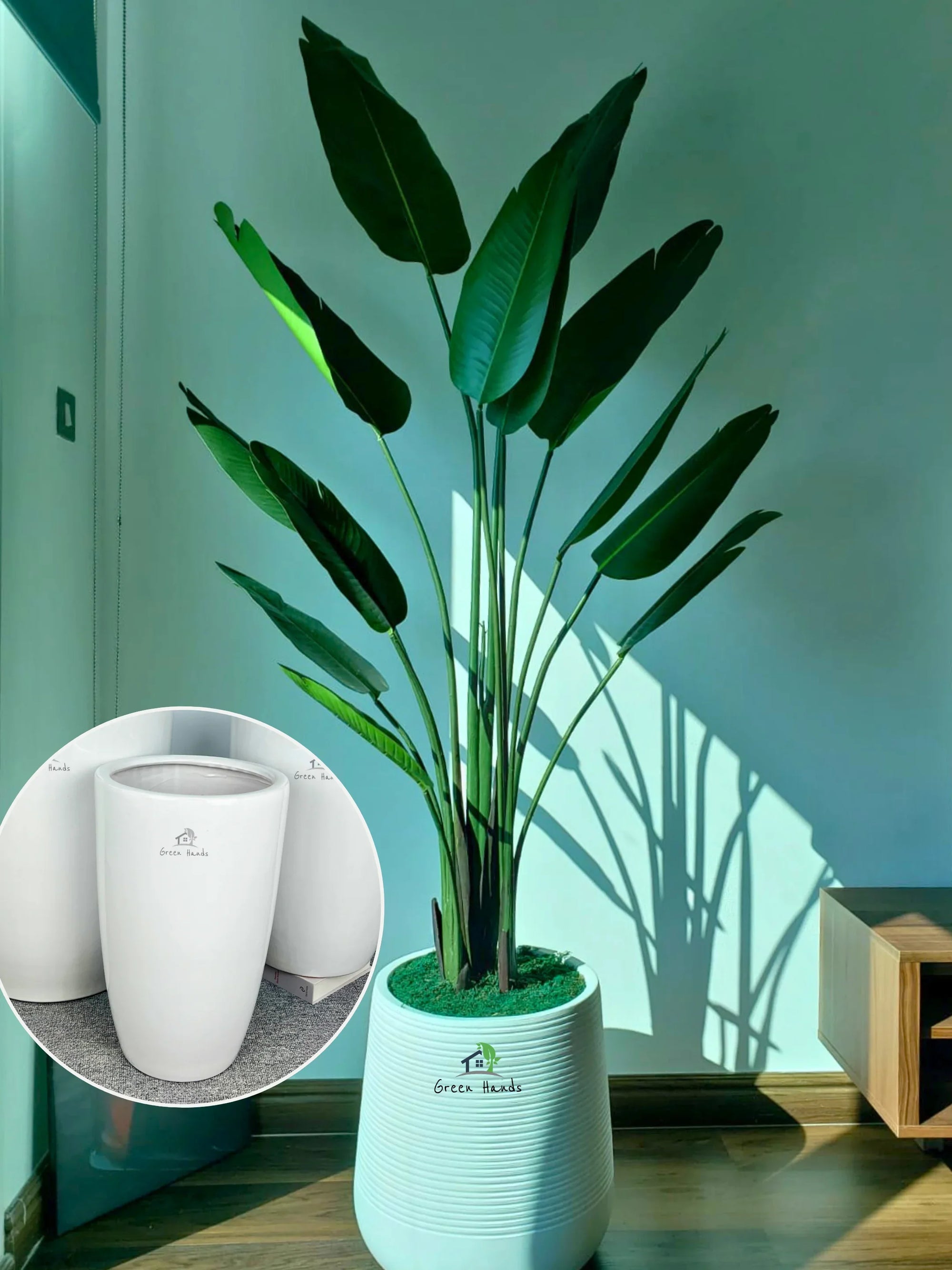 Artificial-Strelitzia-or-Bird-of-Paradise-210-cm-in-Premium-White-Ceramic-Pot