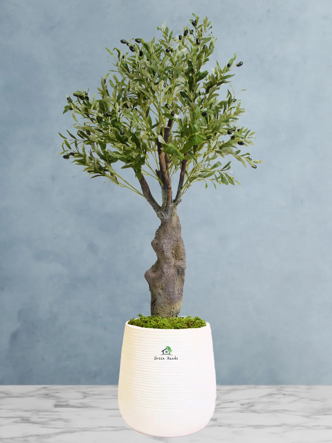 Potted-Artificial-XL-Mature-Olive-Tree-in-Premium-White-Fiber-Pot