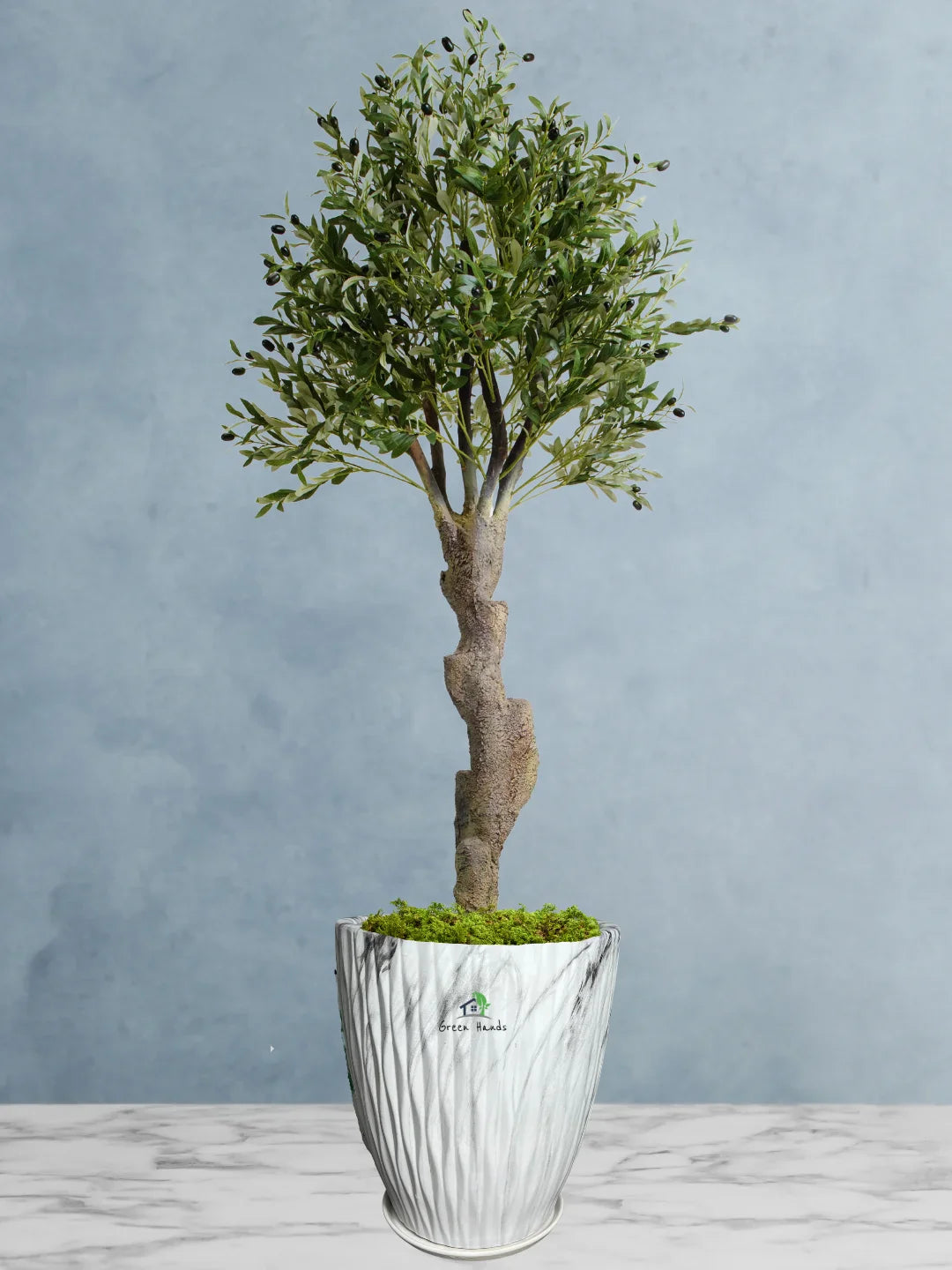 Potted-Artificial-XXL-Mature-Olive-Tree-in-Premium-Marble-Grey-Ceramic-Pot