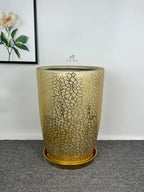Golden Ceramic Planter | VIP Design | Luxury UAE Homes