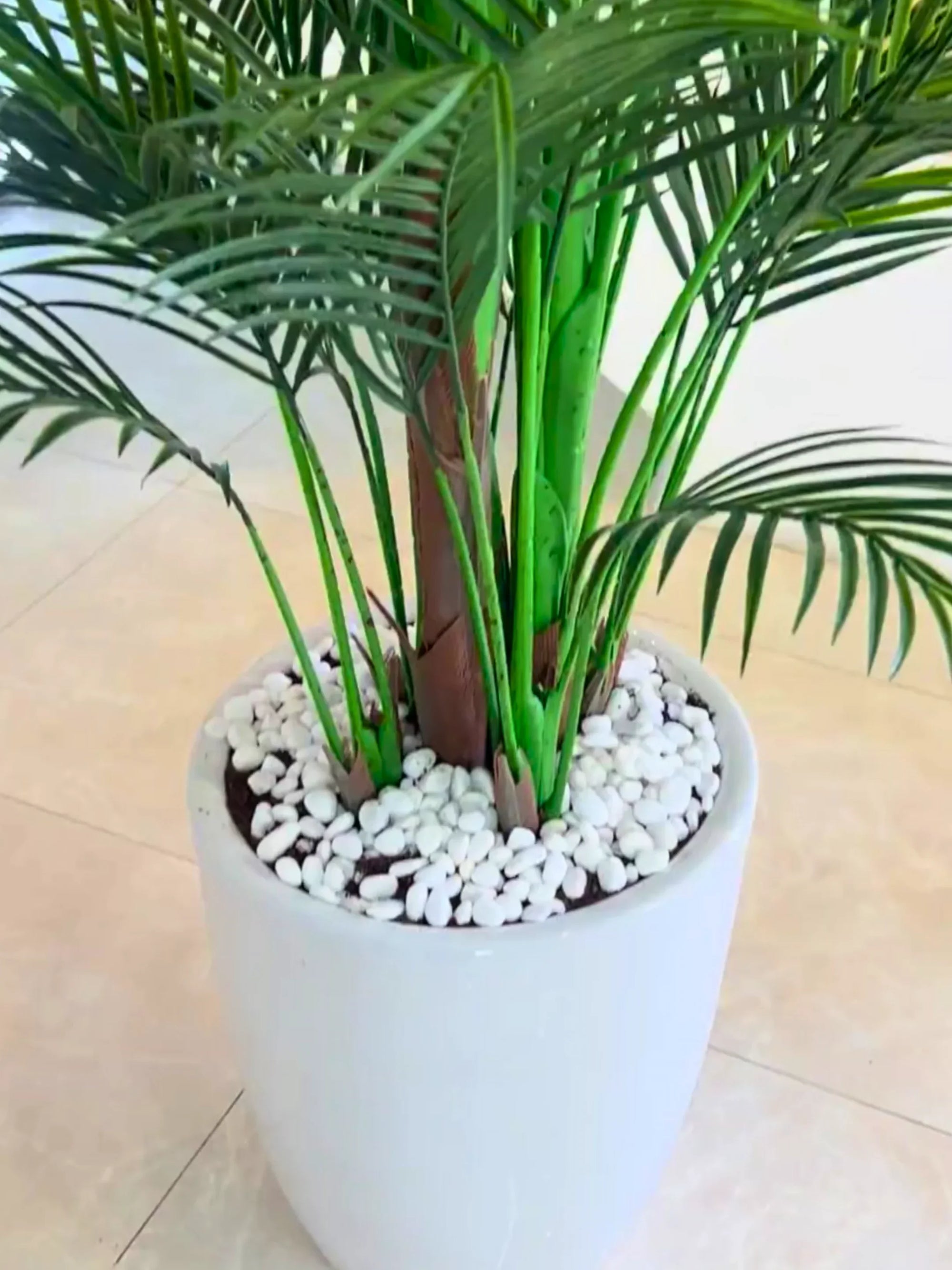 Artificial Areca Palm 240 cm | Premium Ceramic Pot Inclusive