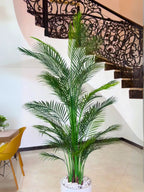 Artificial Areca Palm 240 cm | Premium Ceramic Pot Inclusive