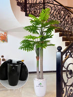Premium-Potted-3XL-Artificial-Philodendron-Twin-Palm-in-Black-Ceramic-Pot_2