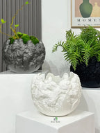 Volcanic-Arc-Planter-Snow-White-2