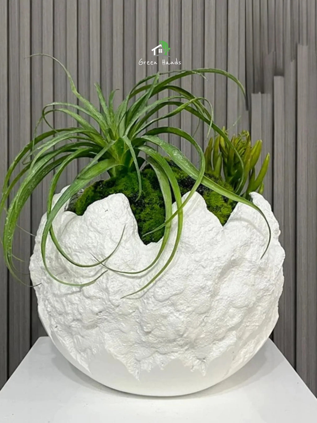 Volcanic-Arc-Planter-Snow-White-3