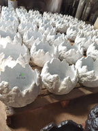 Volcanic-Arc-Planter-Snow-White-5